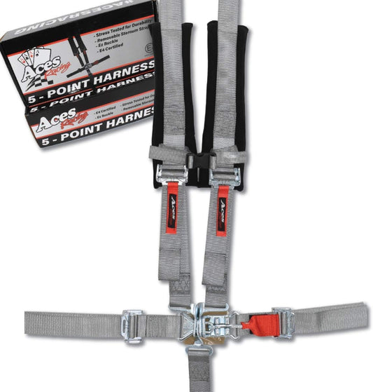 5 Point Harness with 2 Inch Padding E4 Certified (Silver)